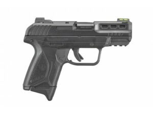 Ruger Security-380 .380 ACP