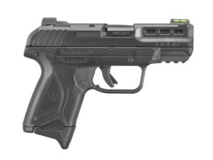 Ruger Security-380 .380 ACP