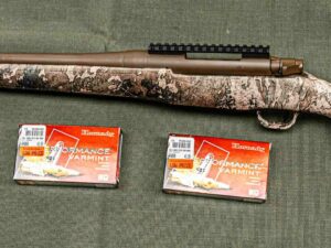 Mossberg Patriot Predator .243