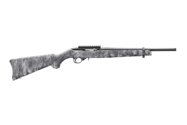 Ruger 10/22 .22 LR