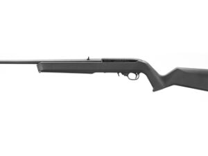 Ruger 10/22 Magpul .22 LR