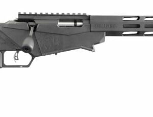 Ruger Precision .22 LR