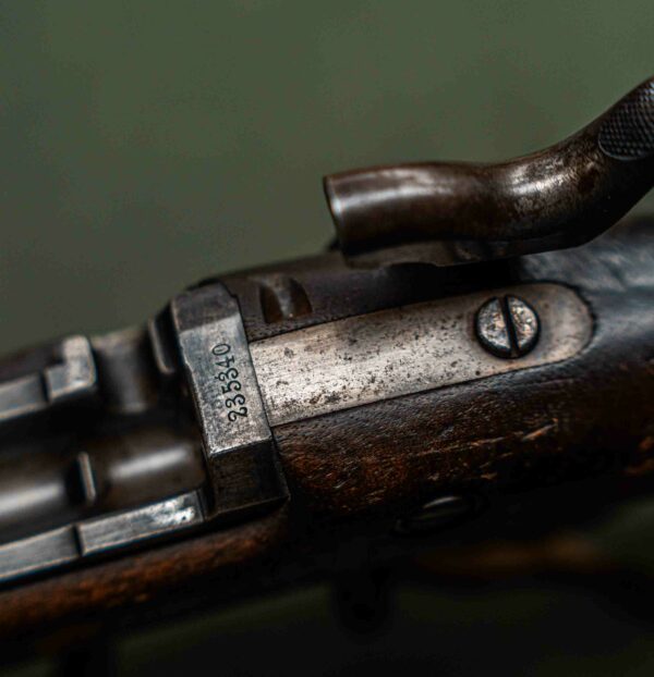 Springfield 1878 Trapdoor .45-70 - Image 9