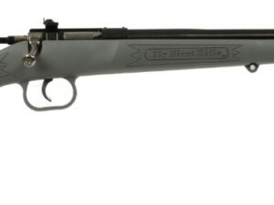 Crickett Youth Gray .22 LR