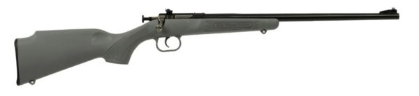 Crickett Youth Gray .22 LR