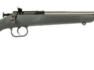 Crickett Youth Gray SS .22 LR